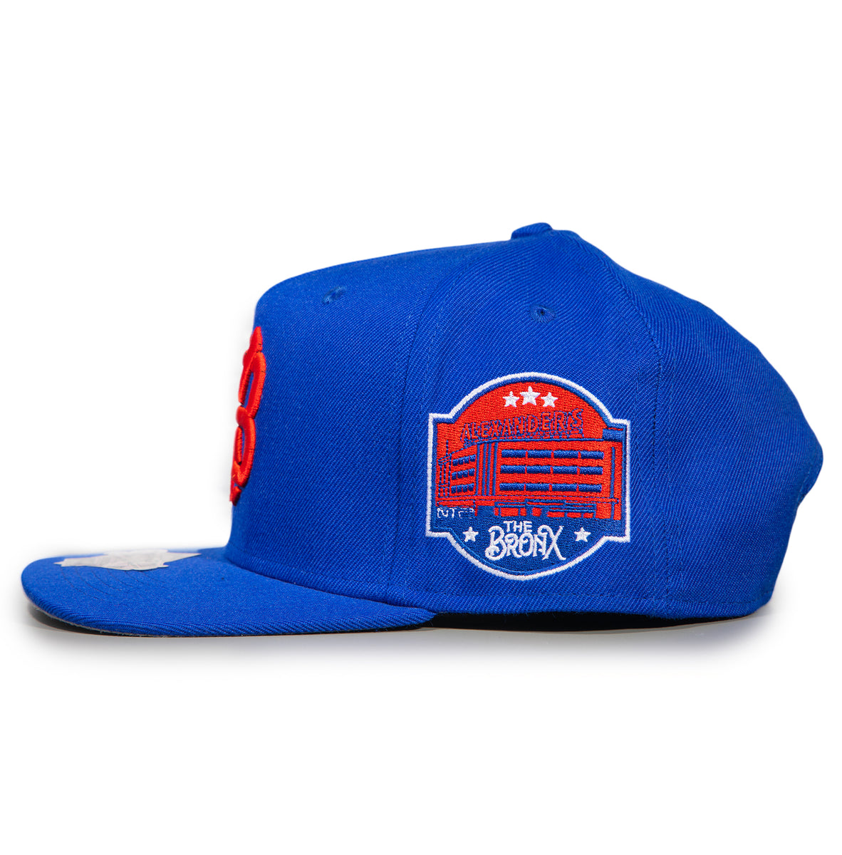 Boogie Down SnapBack (royal) – TWNTY-TWO®️