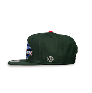 New York Apple Sept 22 day (dark green)
