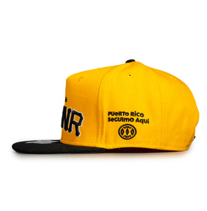 PFKNR (yellow)