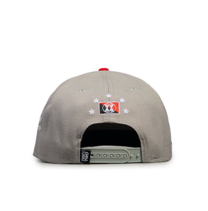 NY Everywhere (gray)
