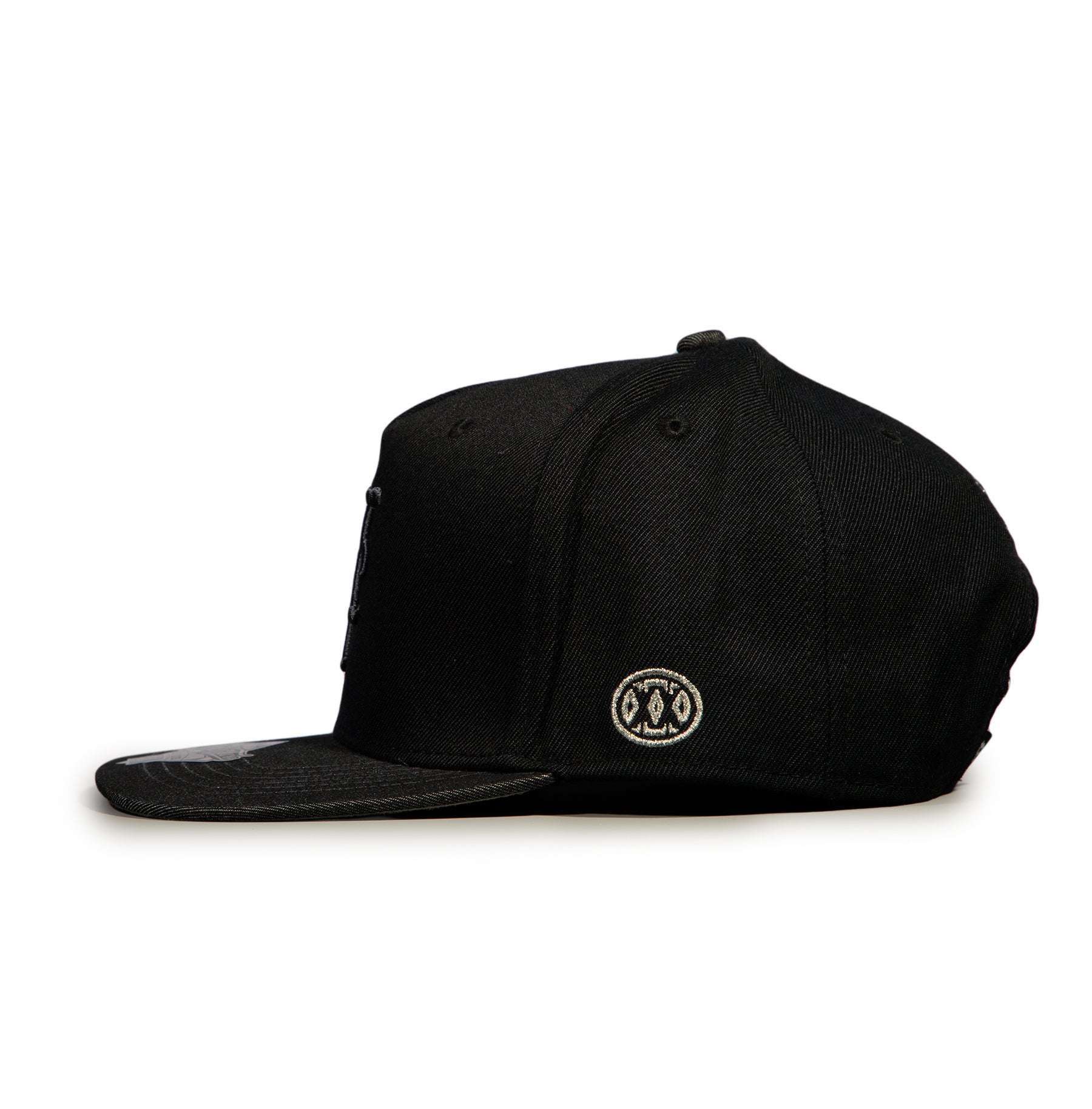 狂*犬様 新品・TWNTY TWO NY TIFFANY SNAPBACK CA TWNTY TWO Snap back Limited Edition 